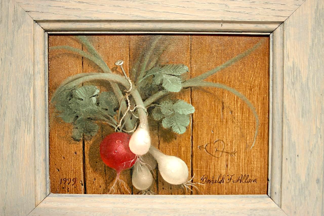 Trompe l'Oeil Still Life Framed Painting of Spring Onions & Radish by Donald F. Allan