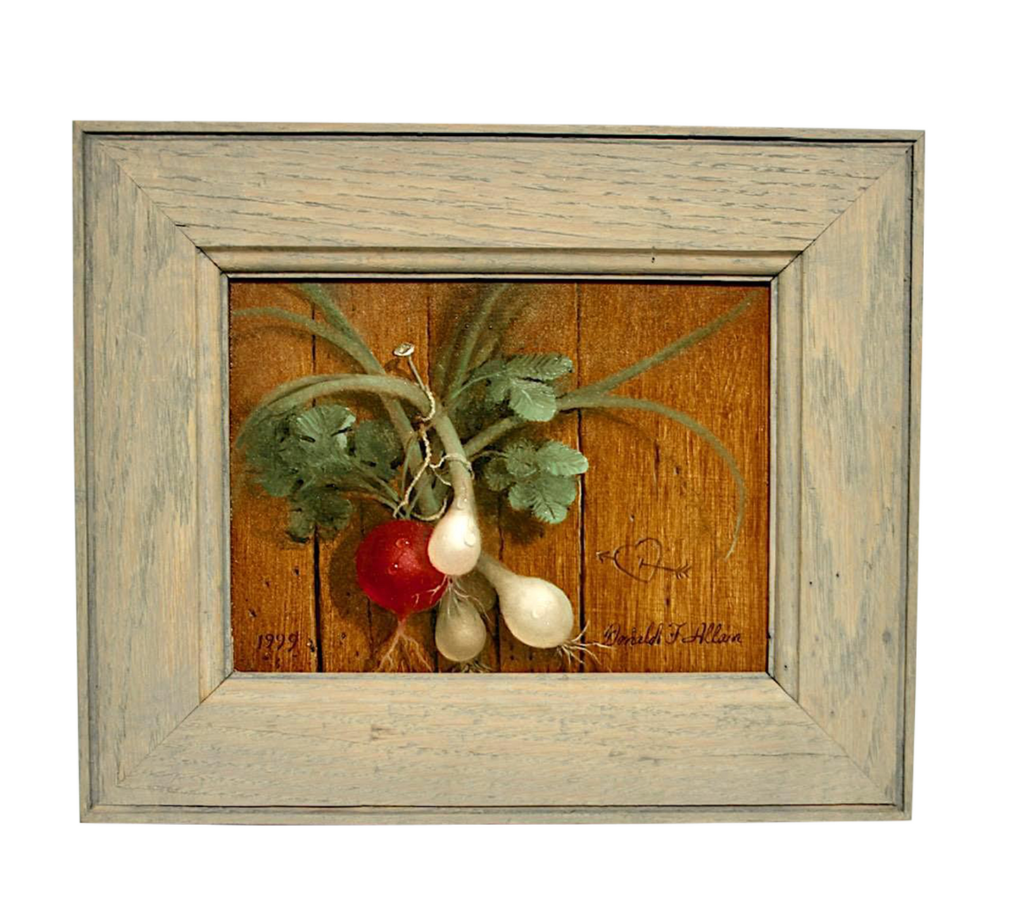 Trompe l'Oeil Still Life Framed Painting of Spring Onions & Radish by Donald F. Allan